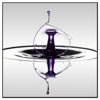 Illustration for article titled Photographs That Make a Huge Splash